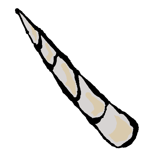 a long white spiral tusk